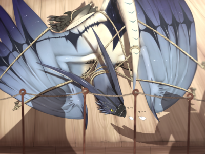 a972a2cc7989b9fb3595c71927dbaeb3.png